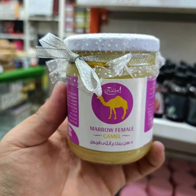 أنثى نخاع الجمل