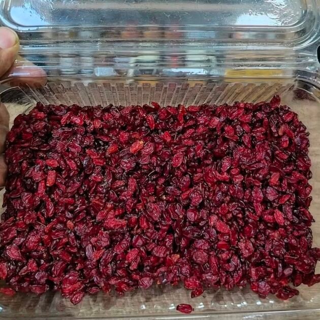 🌿البربرين الطبيعي كنز من قلب الأعشاب 🌿